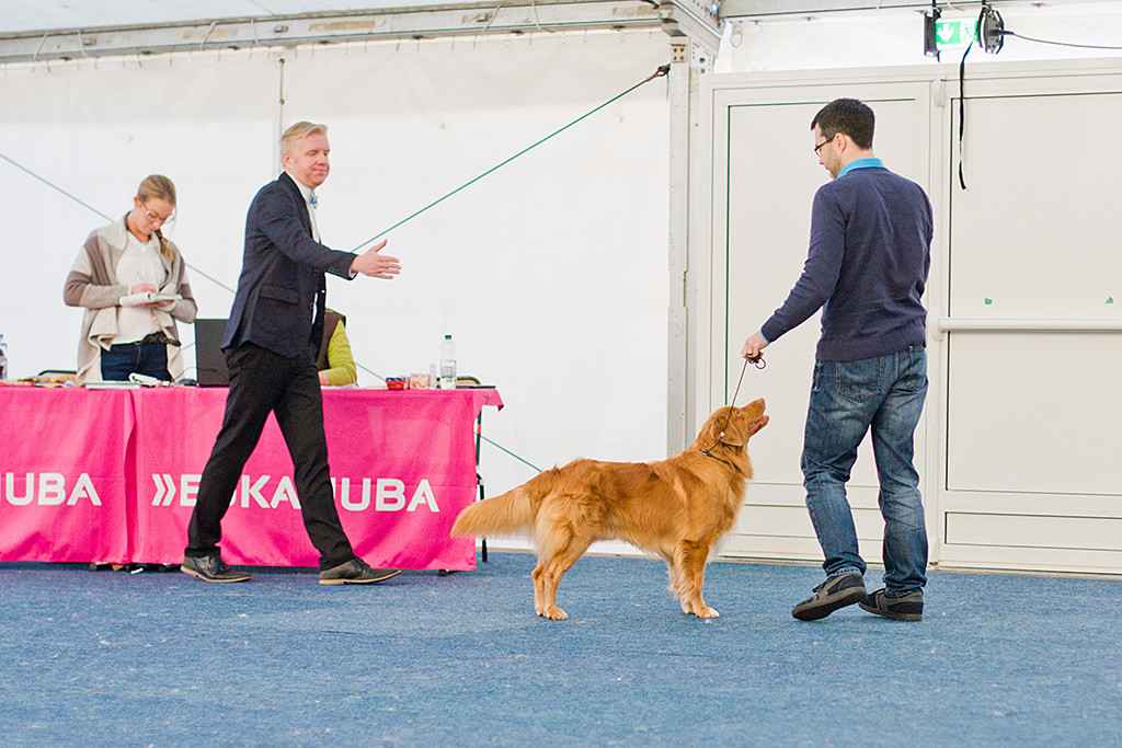 Kalvo Kiisk bedankt sich bei Stephan