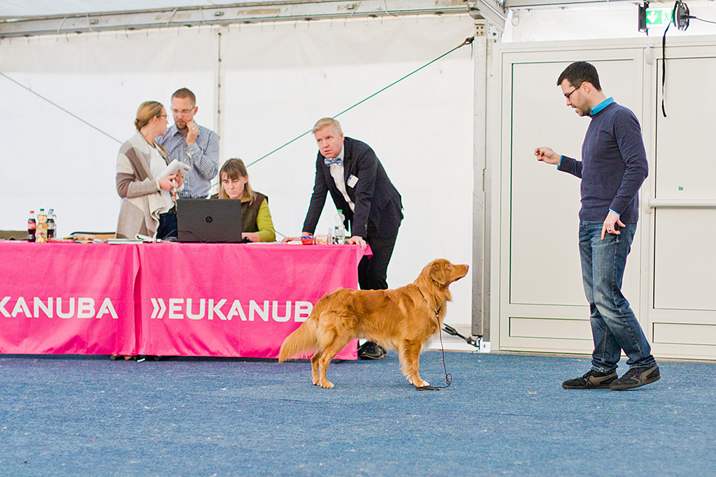 Edison posiert längs vor dem Richterpult und schaut dabei Stephan an, der vor ihm steht