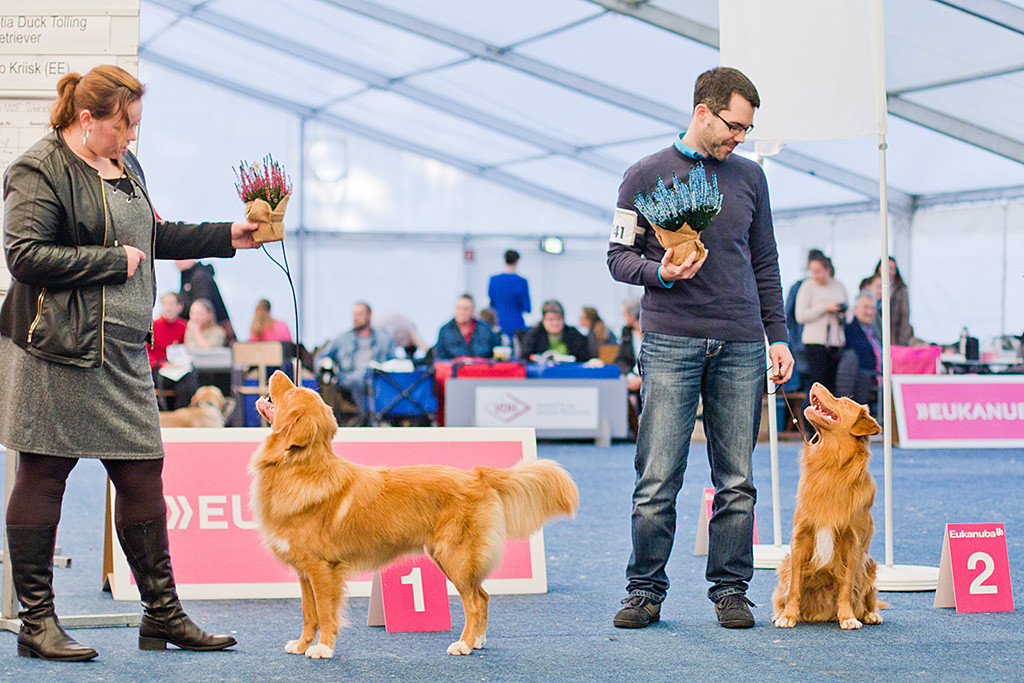 Edison sitzt als Zweitplatzierter neben Stephan, »Alba Nuadh Gwenny’s Working Secret« steht neben Jennifer auf Platz 1
