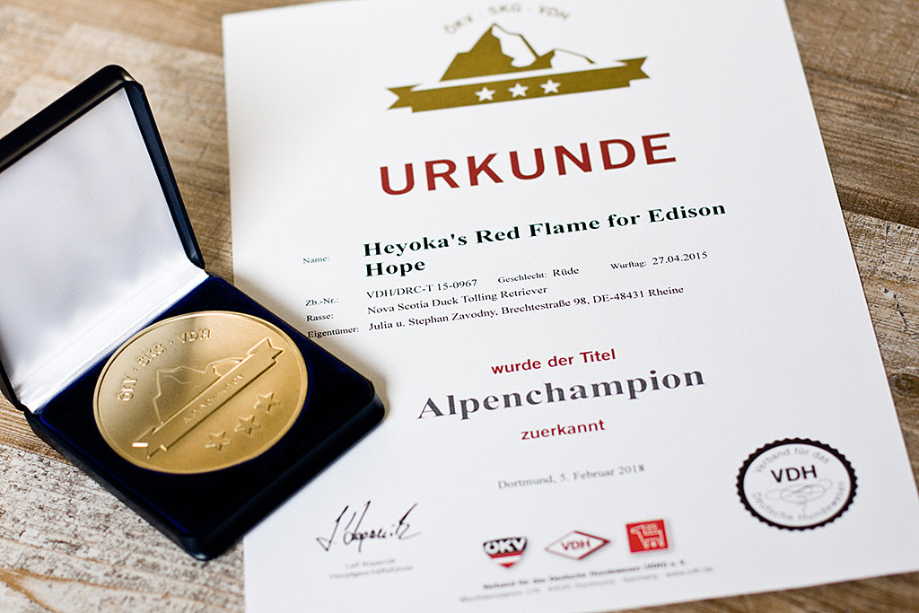 Edisons Urkunde zum Alpenchampion