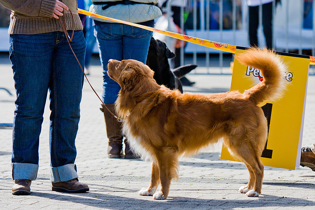 It’s Latin Pride and Joy wird ausgestellt