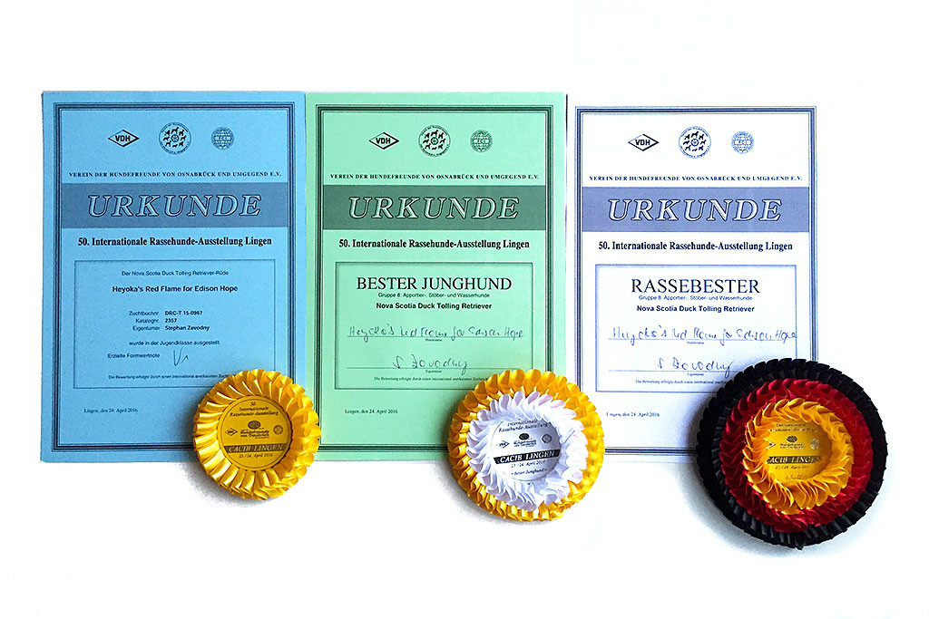 Unsere drei Urkunden sowie die dazugehörigen Schärpen