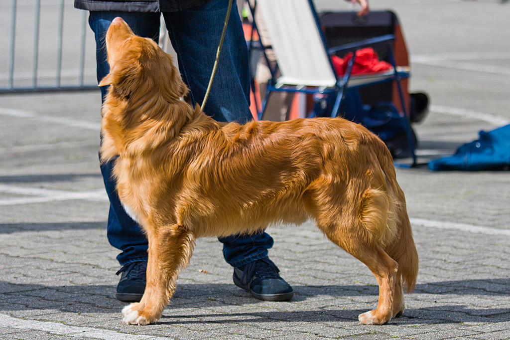Edison übt mit Stephan das Posieren
