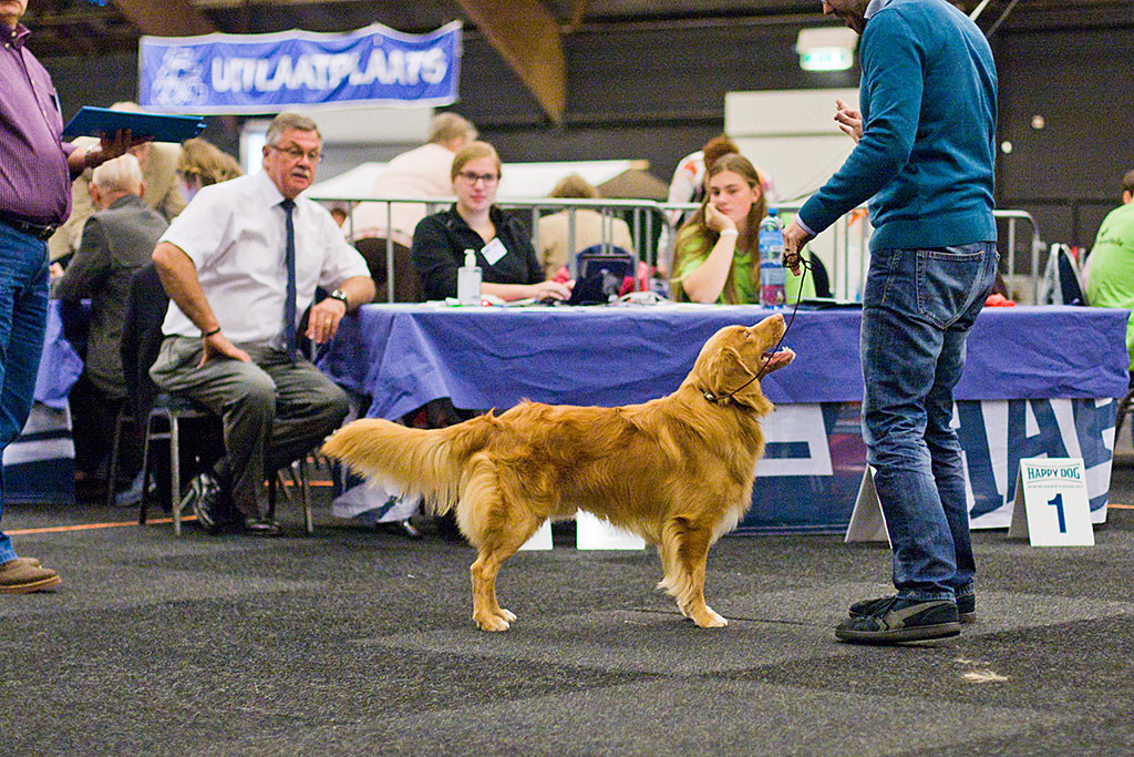 Edison posiert lächelnd vor dem Richtertisch, Stephan steht frontal vor ihm