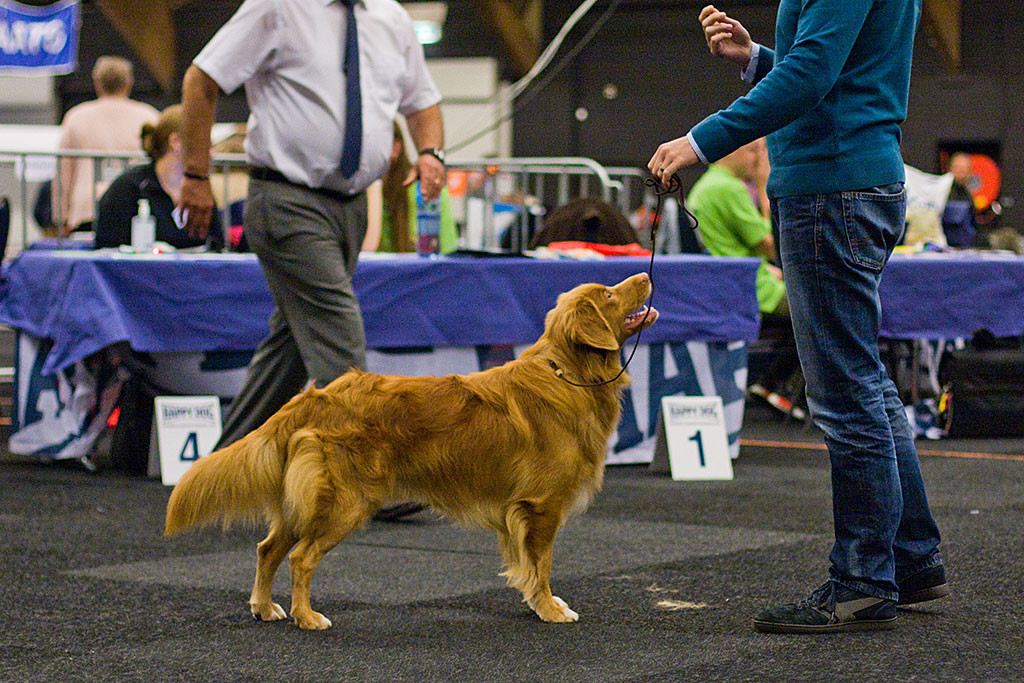 Edison posiert vor Stephan und lächelt ihn an, im Hintergrund begutachtet ihn der Richter