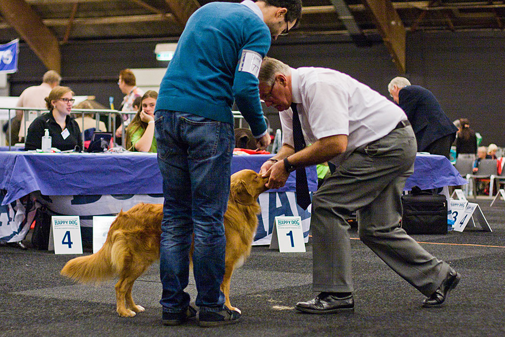 Edisons Schnauze wird frontal vom Richter untersucht, Stephan steht daneben