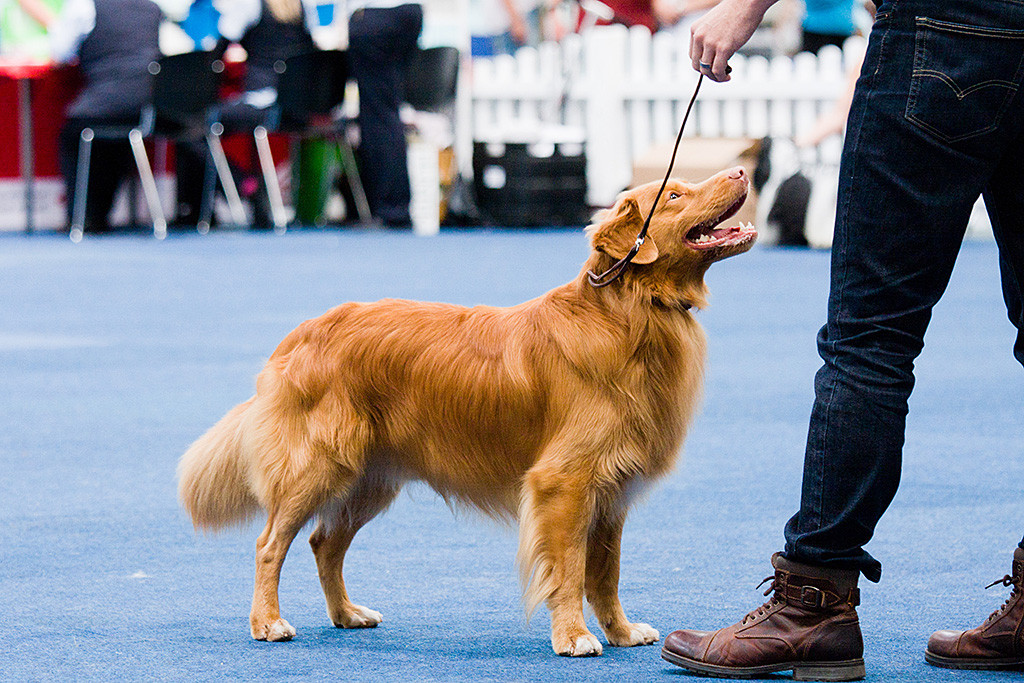 Edison steht vor Stephan im Vorring der Gruppe 8 und grinst zu ihm hoch