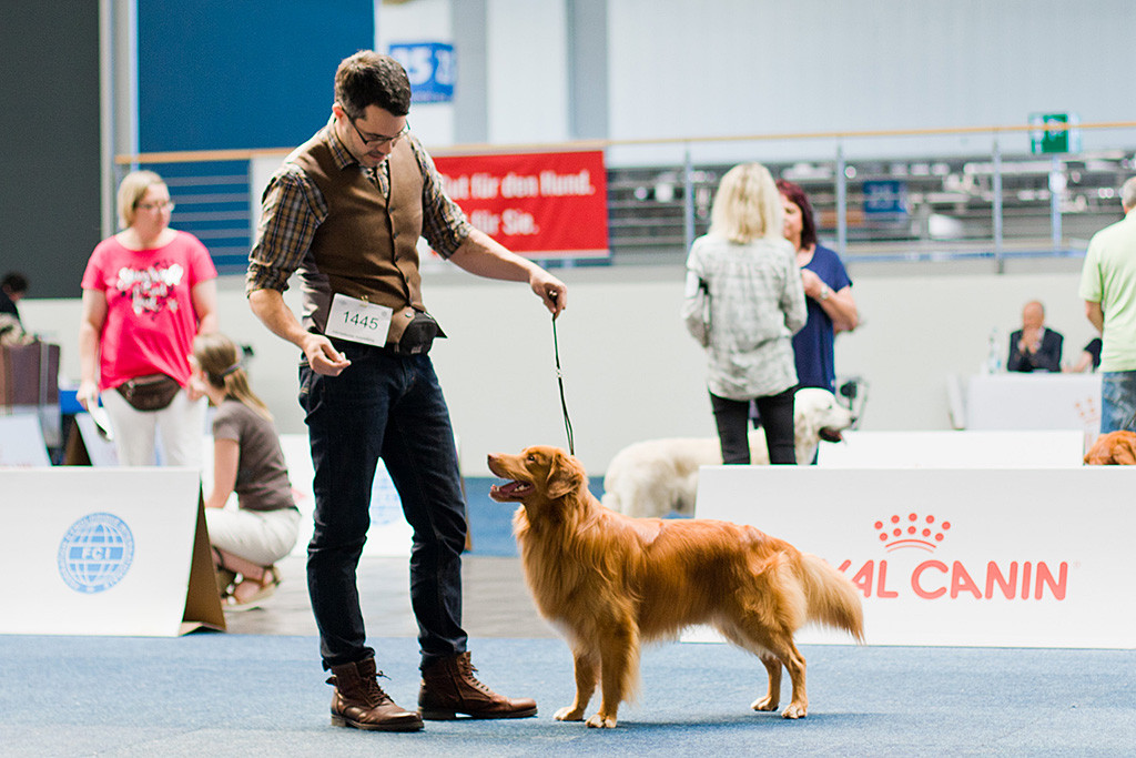 Edison schmeißt sich an Stephans Seite bei der Vergabe zum CACIB nochmal in Pose