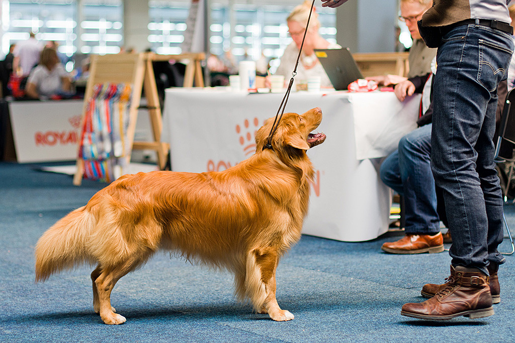 Edison steht vor Stephan beim Richtertisch und lächelt zu ihm hoch