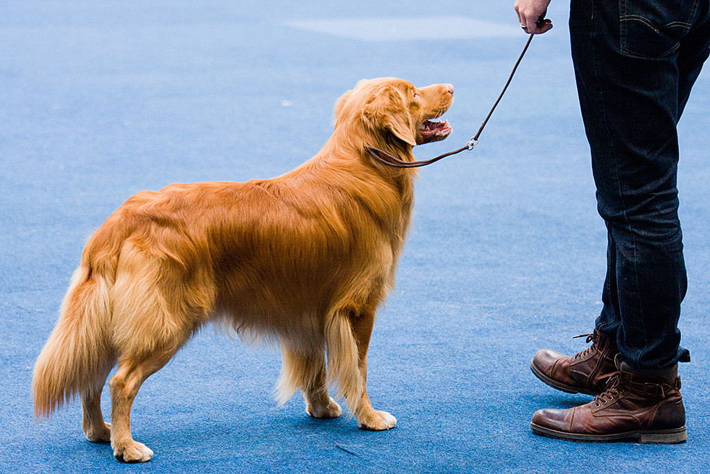 Edison steht neben Stephan im Vorring der Gruppe 8