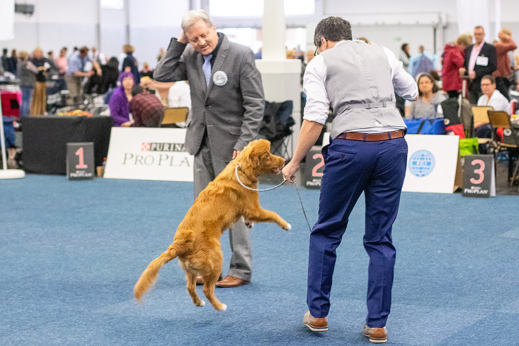 Newton springt in die Höhe, um nach der Schleife in Stephans Hand zu schnappen