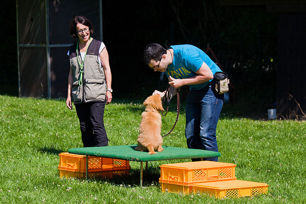 Edison sitzt auf einem Podest und bekommt ein Leckerchen