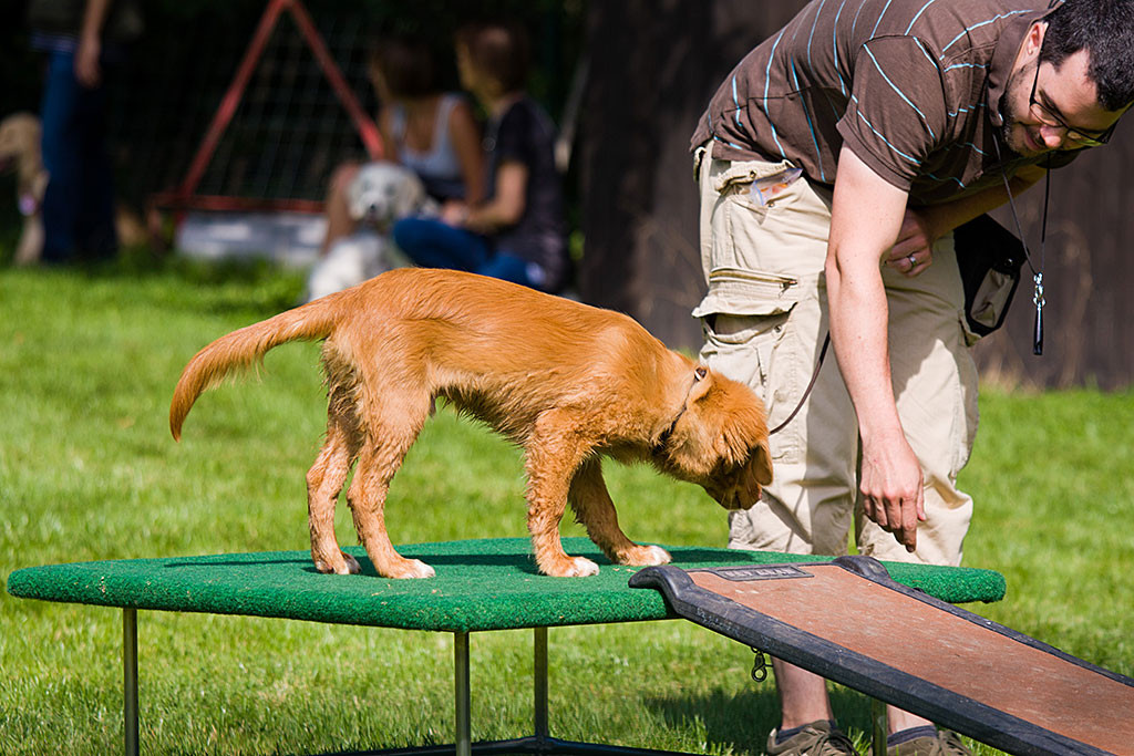 Edison beginnt damit vom Podest herunter zu laufen