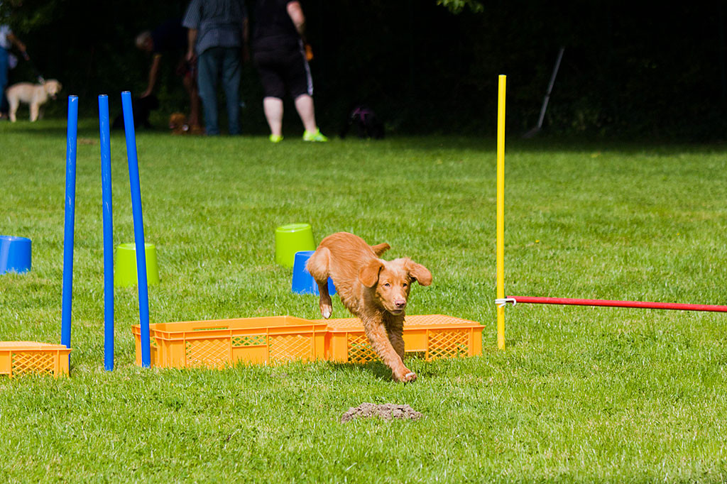 Edison landet hinter der Box