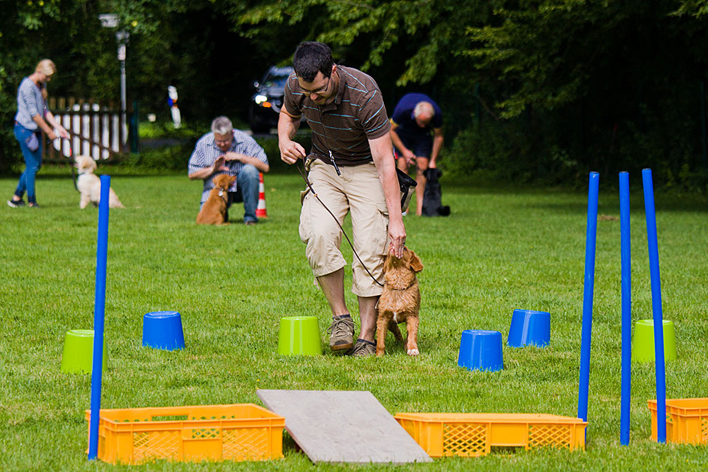 Edison wird von Stephan durch einen kleinen Eimerparcours gelockt