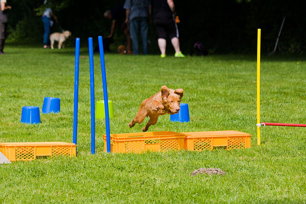 Edison springt über eine Box