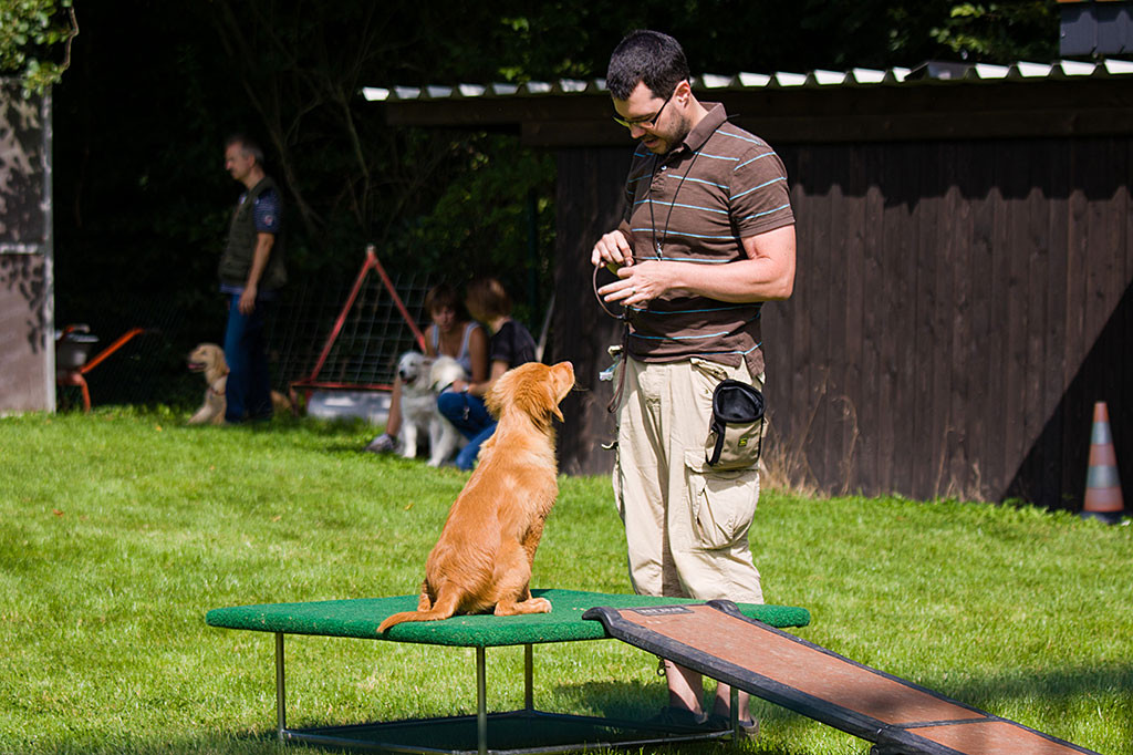 Edison sitzt wie eine eins auf dem Podest und schaut Stephan aufmerksam an