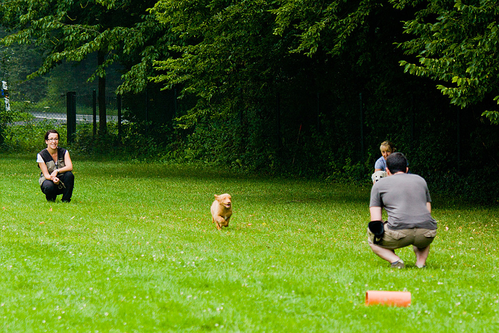 Edison läuft pfeilschnell von Nicole zu Stephan