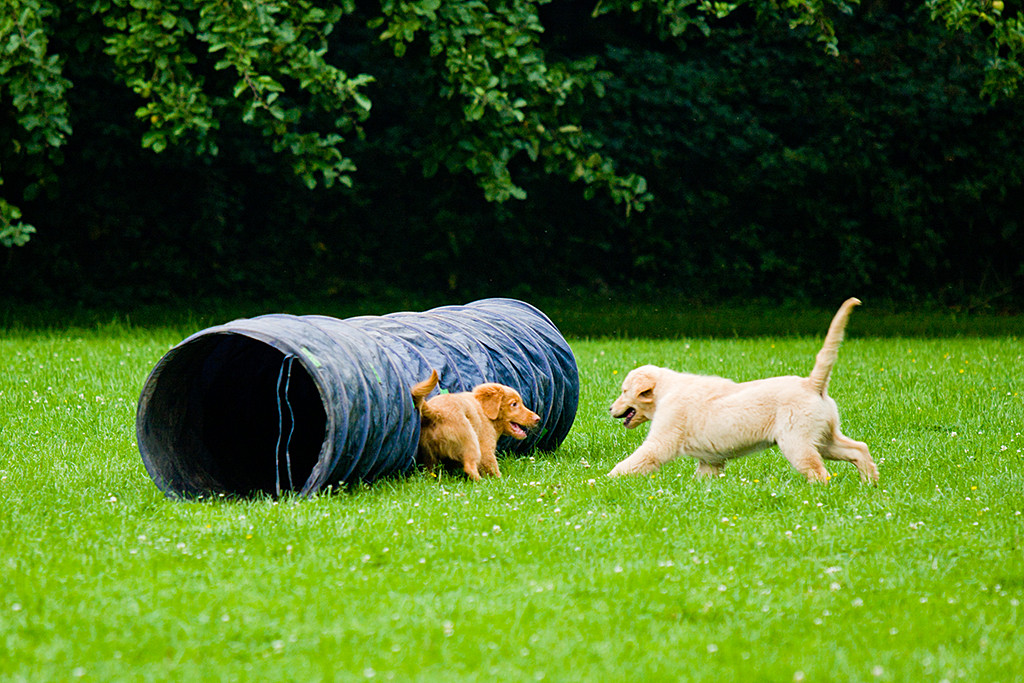 Edison wird von Frieda beim Tunnel in die Enge getrieben