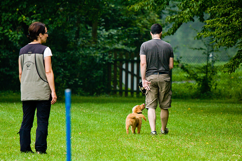 Edison läuft mit Stephan bei Fuß