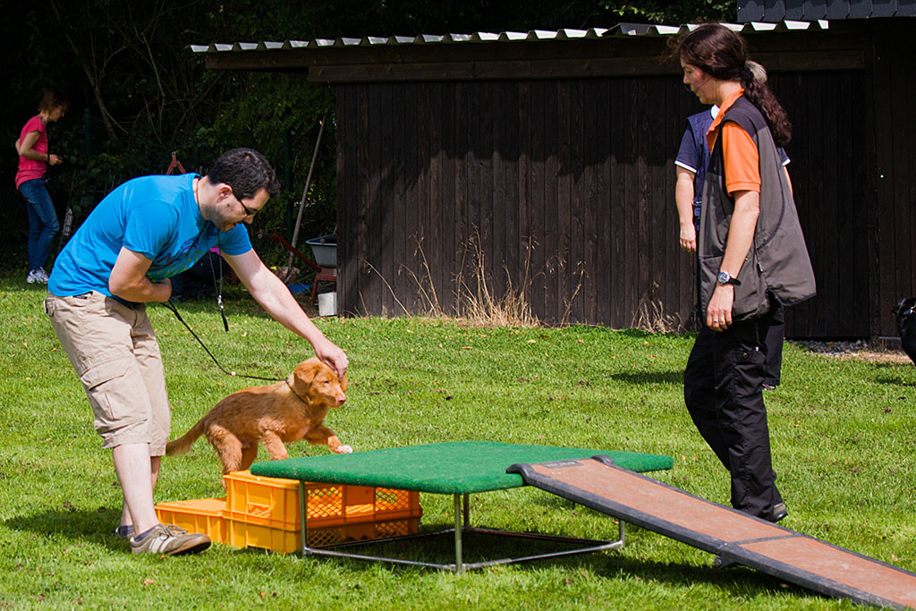 Edison läuft auf ein Podest