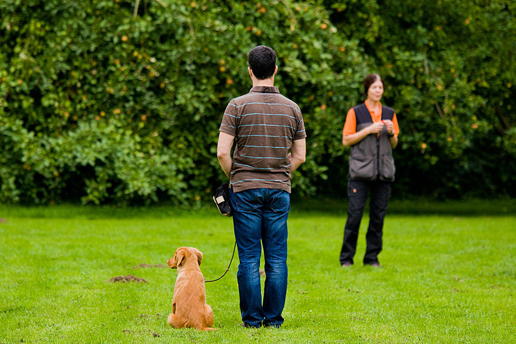 Edison sitzt neben Stephan, der Dagmars Anweisungen lauscht