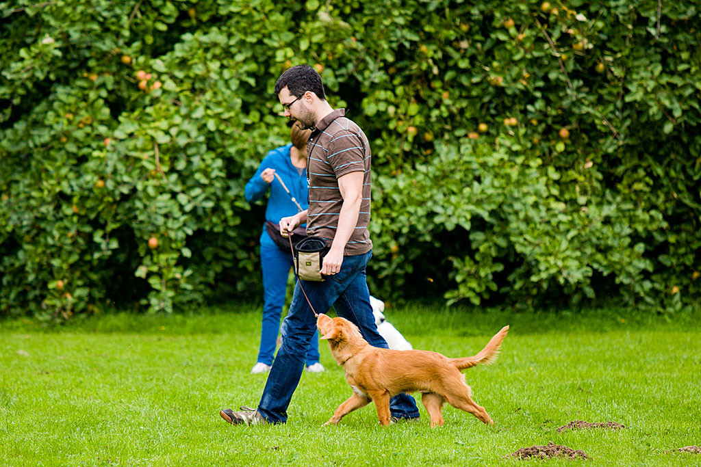 Edison übt mit Stephan das Bei-Fuß-Gehen