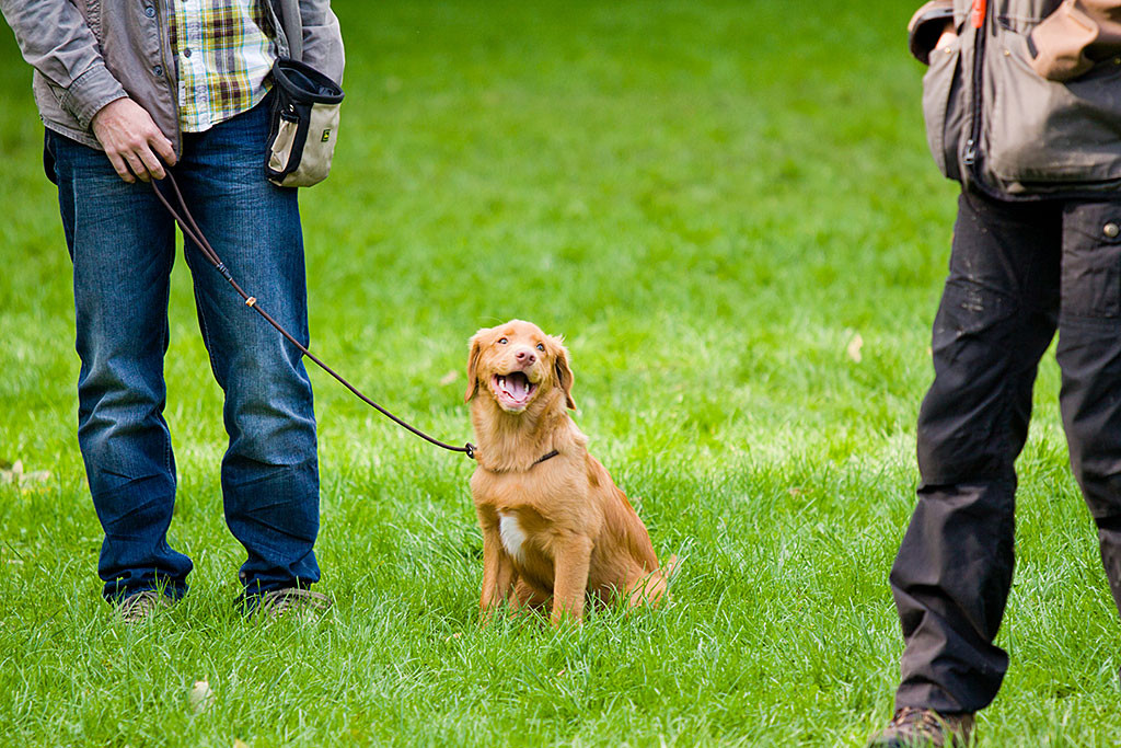Edison sitzt auf der Wiese neben Stephan und schaut Dagmar freudig an
