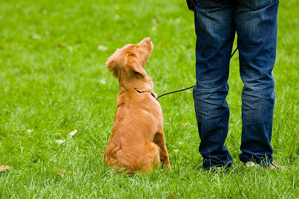 Edison schaut Stephan ganz aufmerksam an