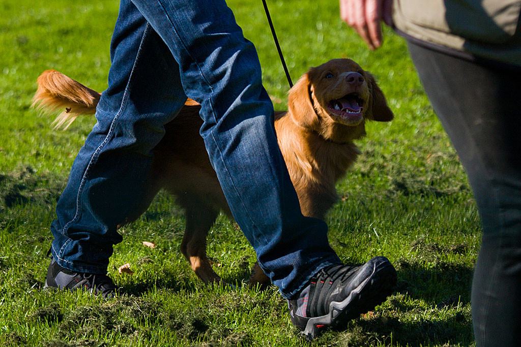 Edison lächelt Stephan beim Gehen an