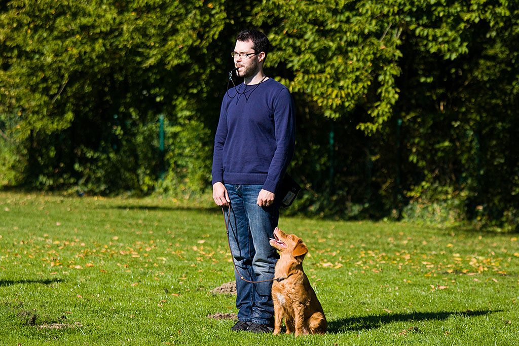 Edison hat sich nach Stephans Pfiff aus dem Platz ins Sitz begeben