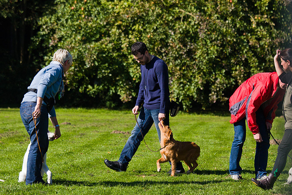 Edison übt mit Stephan das Bei-Fuß-Gehen