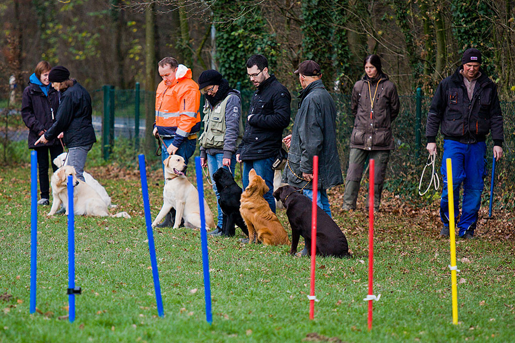 Edison und Stephan stehen in Reih und Glied mit den anderen Teams während hinter ihnen ein Rückruf ausgeführt wird