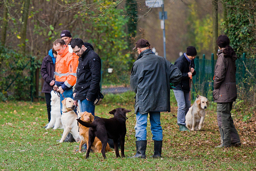 Edison und Stephan stehen in Reih und Glied mit den anderen Teams während hinter ihnen ein Hund zum Rückruf abgesetzt wird