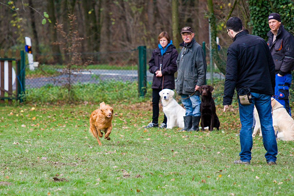 Edison prescht los, um sich an Stephans Seite zu setzen