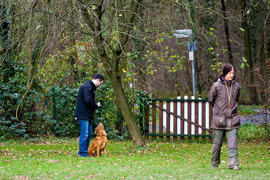 Edison bekommt das Signal »Bleib«