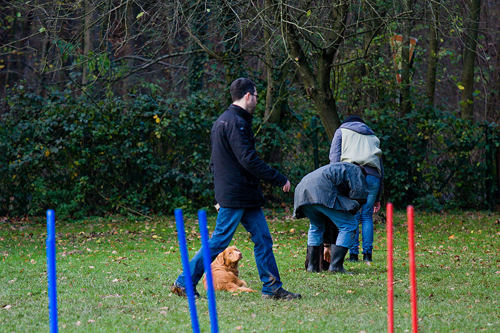 Edison wird im »Platz« von Stephan umkreist – Teil 2
