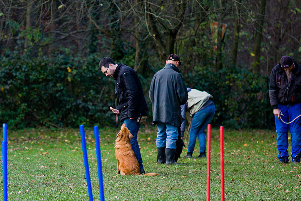 Edison bekommt das Signal »Platz«