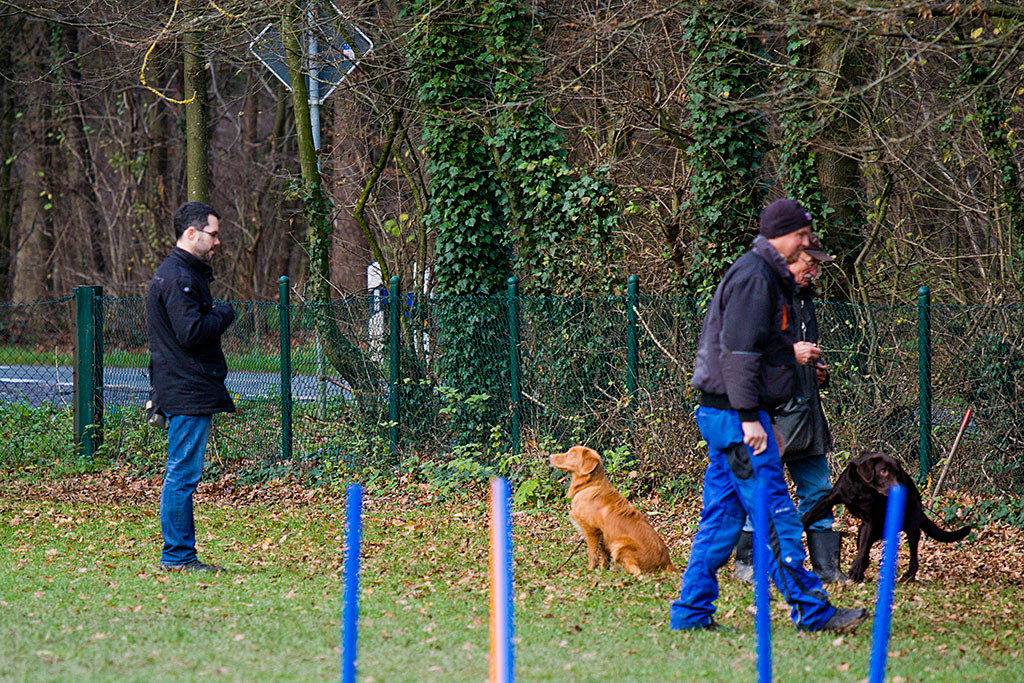 Edison übt »Bleib« und »Close«