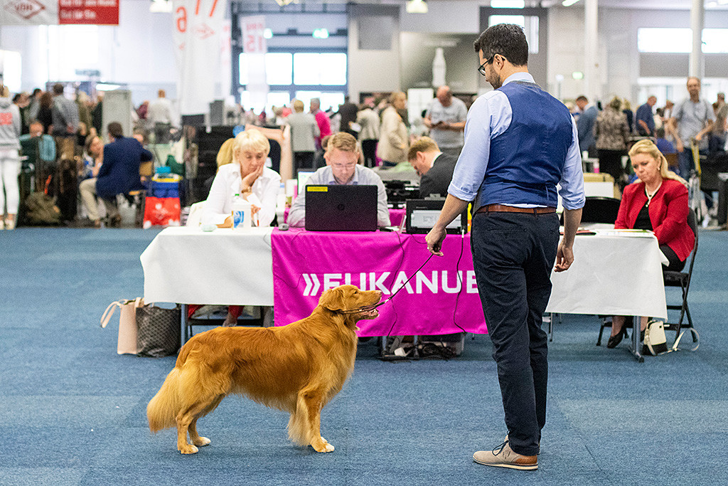 Edison steht zusammen mit Stephan vor dem Richterisch