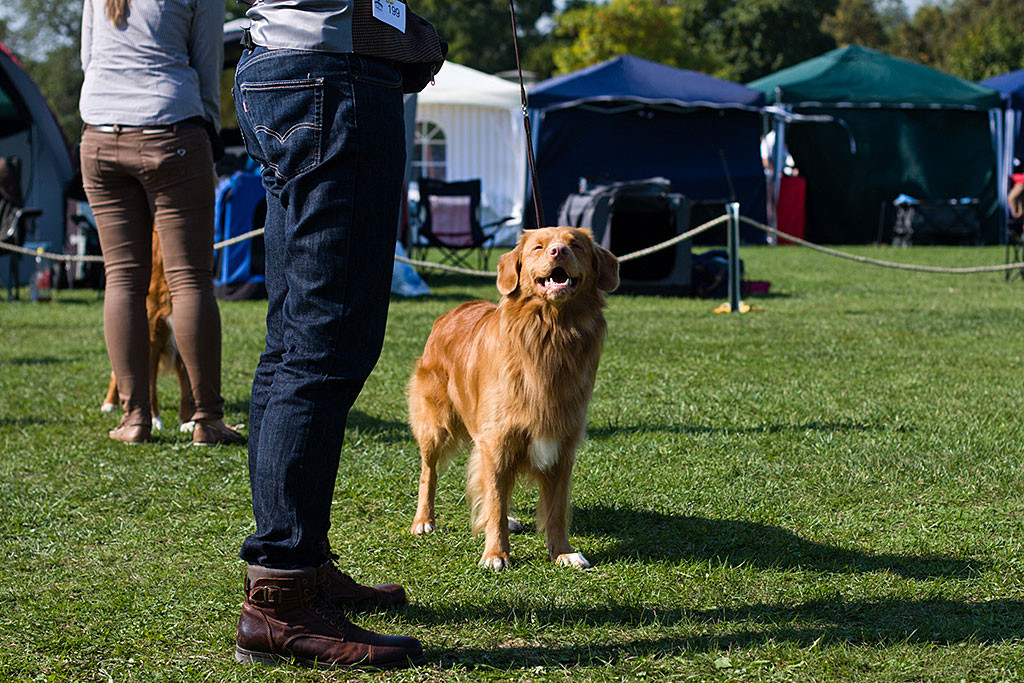 Edison steht seitlich vor Stephan, im Hintergrund ist Aneta mit »Shaggy Toller’s White Banjo Boy« zu sehen