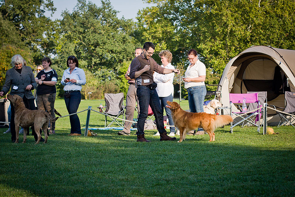 Edison wird von Stephan ein letztes Mal im Ehrenring präsentiert