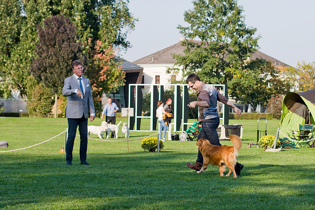 Edison läuft geführt von Stephan auf den Richter zu