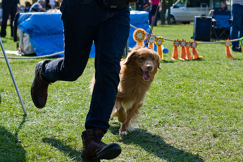 Edison läuft lächelnderweise nochmal eine Runde mit Stephan