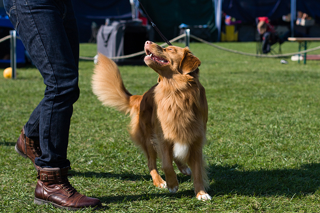 Edison himmelt Stephan an während er sich umdreht