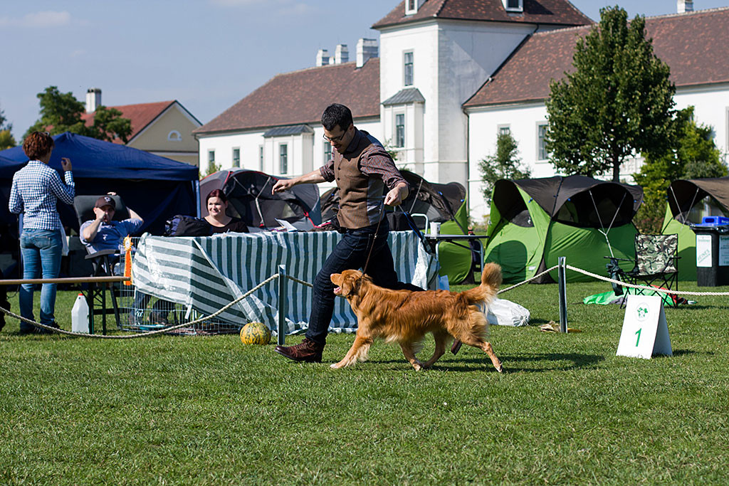 Edison läuft geführt von Stephan durch den Ring