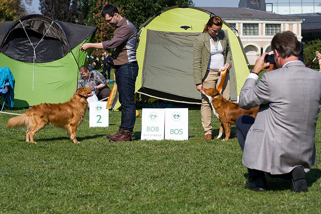 Edison posiert als Rassebester mit Stephan neben der BOS-Hündin »Absolut First Izolda Garonera« und ihrer Führerin damit der Richter ein Foto schießen kann
