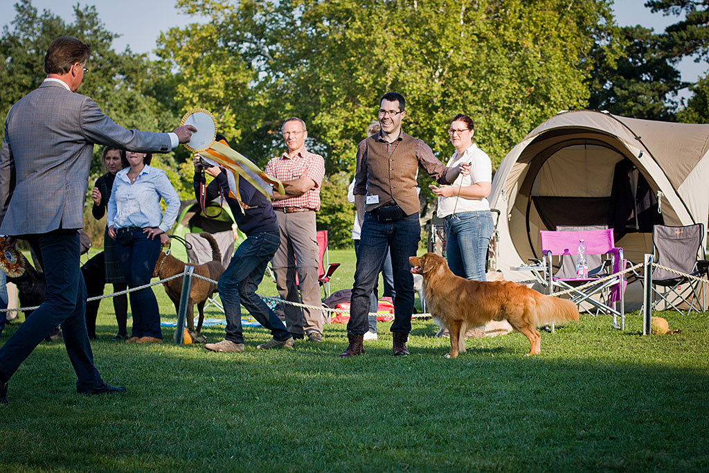 Edison bekommt die heißersehnte Schleife für »Best in Show« überreicht