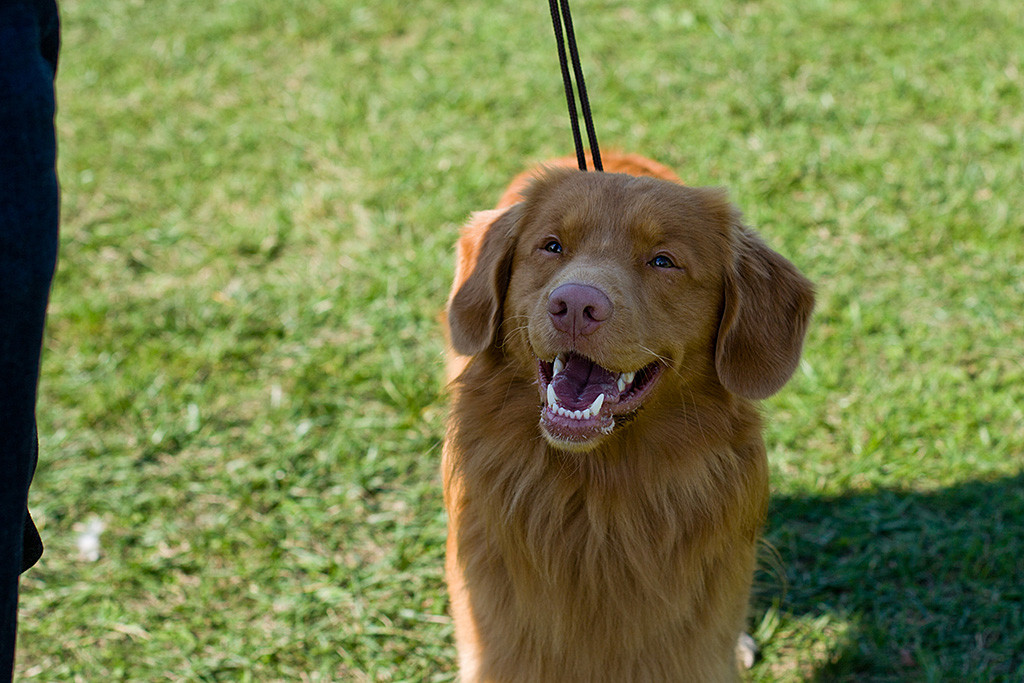 Edisons Kopf in Nahaufnahme während er freudig lächelt