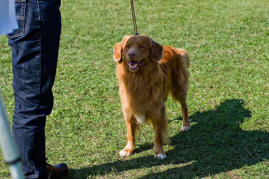 Edison posiert für den Richterbericht